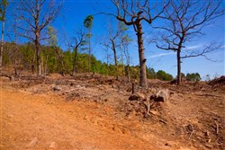 property photo for Stone Creek Phase II Tract 100, 11.02 acres for sale in Latimer County, Oklahoma