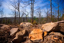 property photo for Stone Creek Phase II Tract 100, 11.02 acres for sale in Latimer County, Oklahoma