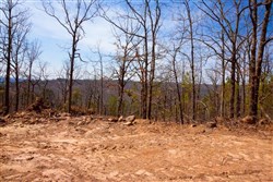 property photo for Stone Creek Phase II Tract 100, 11.02 acres for sale in Latimer County, Oklahoma
