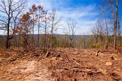 property photo for Stone Creek Phase II Tract 116, 6.19 acres for sale in Latimer County, Oklahoma