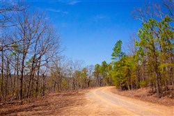 property photo for Stone Creek Phase II Tract 116, 6.19 acres for sale in Latimer County, Oklahoma