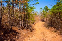property photo for Stone Creek Phase II Tract 117, 27.68 acres for sale in Latimer County, Oklahoma