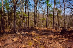property photo for Stone Creek Phase II Tract 117, 27.68 acres for sale in Latimer County, Oklahoma