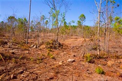property photo for Stone Creek Phase II Tract 117, 27.68 acres for sale in Latimer County, Oklahoma