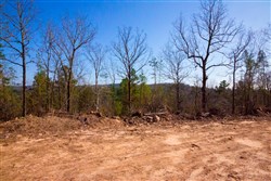 property photo for Stone Creek Phase II Tract 117, 27.68 acres for sale in Latimer County, Oklahoma