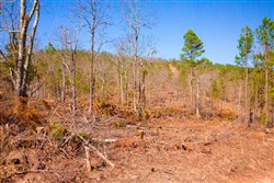 property photo for Stone Creek Phase II Tract 117, 27.68 acres for sale in Latimer County, Oklahoma