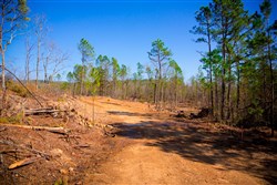property photo for Stone Creek Phase II Tract 118, 26.83 acres for sale in Latimer County, Oklahoma