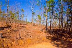 property photo for Stone Creek Phase II Tract 118, 26.83 acres for sale in Latimer County, Oklahoma