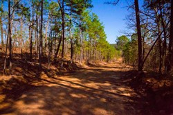 property photo for Stone Creek Phase II Tract 118, 26.83 acres for sale in Latimer County, Oklahoma