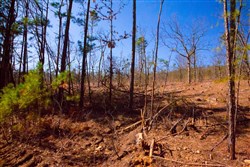 property photo for Stone Creek Phase II Tract 118, 26.83 acres for sale in Latimer County, Oklahoma
