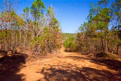 property photo for Stone Creek Phase II Tract 120, 23.51 acres for sale in Latimer County, Oklahoma