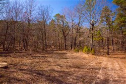 property photo for Stone Creek Phase II Tract 120, 23.51 acres for sale in Latimer County, Oklahoma
