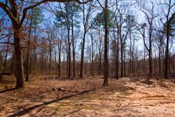 property photo for Stone Creek Phase II Tract 120, 23.51 acres for sale in Latimer County, Oklahoma