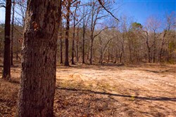 property photo for Stone Creek Phase II Tract 120, 23.51 acres for sale in Latimer County, Oklahoma