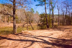 property photo for Stone Creek Phase II Tract 120, 23.51 acres for sale in Latimer County, Oklahoma