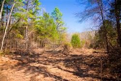 property photo for Stone Creek Phase II Tract 121, 4.32 acres for sale in Latimer County, Oklahoma