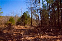 property photo for Stone Creek Phase II Tract 121, 4.32 acres for sale in Latimer County, Oklahoma
