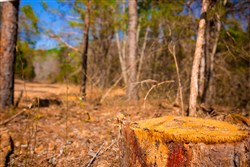 property photo for Stone Creek Phase II Tract 121, 4.32 acres for sale in Latimer County, Oklahoma