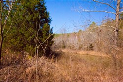 property photo for Stone Creek Phase II Tract 121, 4.32 acres for sale in Latimer County, Oklahoma
