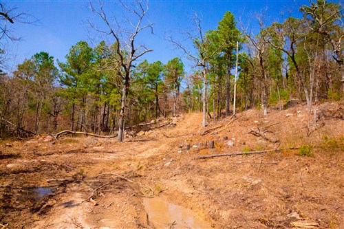 Stone Creek Phase II Tract 122