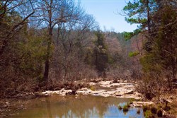 Stone Creek Phase II Tract 122