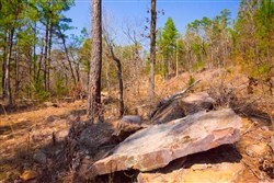 Stone Creek Phase II Tract 122