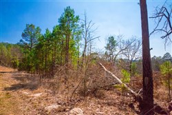 Stone Creek Phase II Tract 122