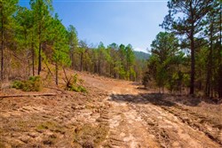 property photo for Stone Creek Phase II Tract 123, 36.66 acres for sale in Latimer County, Oklahoma