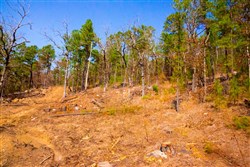 property photo for Stone Creek Phase II Tract 123, 36.66 acres for sale in Latimer County, Oklahoma