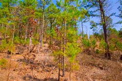property photo for Stone Creek Phase II Tract 123, 36.66 acres for sale in Latimer County, Oklahoma
