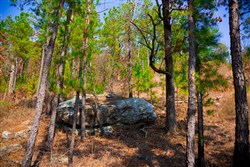 property photo for Stone Creek Phase II Tract 123, 36.66 acres for sale in Latimer County, Oklahoma