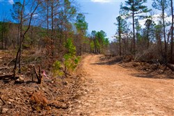 property photo for Stone Creek Phase II Tract 124, 36.03 acres for sale in Latimer County, Oklahoma