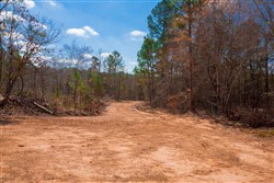 property photo for Stone Creek Phase II Tract 124, 36.03 acres for sale in Latimer County, Oklahoma