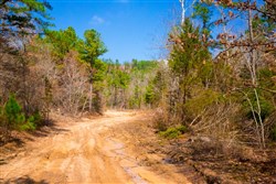 property photo for Stone Creek Phase II Tract 124, 36.03 acres for sale in Latimer County, Oklahoma