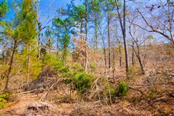 property photo for Stone Creek Phase II Tract 124, 36.03 acres for sale in Latimer County, Oklahoma