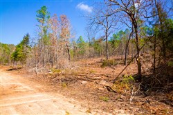 property photo for Stone Creek Phase II Tract 124, 36.03 acres for sale in Latimer County, Oklahoma