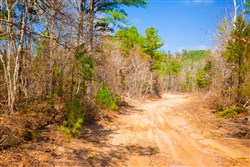 Stone Creek Phase II Tract 125