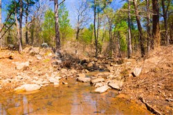 Stone Creek Phase II Tract 125