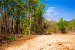 Stone Creek Phase II Tract 125