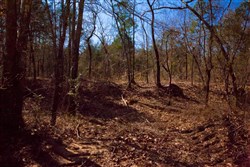 Stone Creek Phase II Tract 127