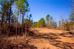 property photo for Stone Creek Phase II Tract 129, 14.68 acres for sale in Latimer County, Oklahoma