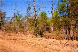 property photo for Stone Creek Phase II Tract 129, 14.68 acres for sale in Latimer County, Oklahoma