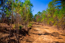property photo for Stone Creek Phase II Tract 130, 11.83 acres for sale in Latimer County, Oklahoma