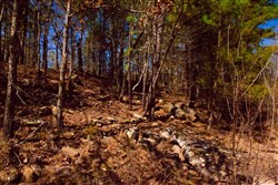 property photo for Stone Creek Phase II Tract 130, 11.83 acres for sale in Latimer County, Oklahoma