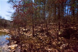 property photo for Stone Creek Phase II Tract 130, 11.83 acres for sale in Latimer County, Oklahoma