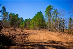 property photo for Stone Creek Phase II Tract 130, 11.83 acres for sale in Latimer County, Oklahoma