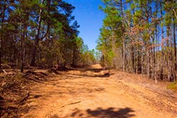 property photo for Stone Creek Phase II Tract 131, 6.02 acres for sale in Latimer County, Oklahoma