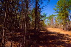 property photo for Stone Creek Phase II Tract 131, 6.02 acres for sale in Latimer County, Oklahoma