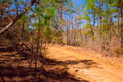 property photo for Stone Creek Phase II Tract 131, 6.02 acres for sale in Latimer County, Oklahoma