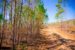 property photo for Stone Creek Phase II Tract 132, 5.68 acres for sale in Latimer County, Oklahoma